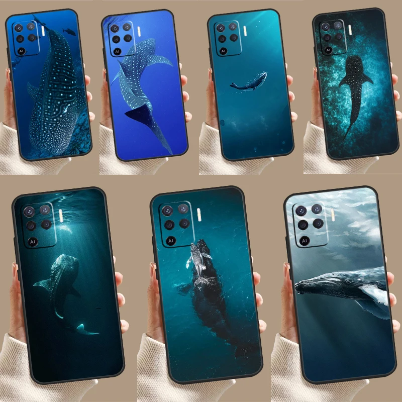 Ocean Whale Shark S… - image