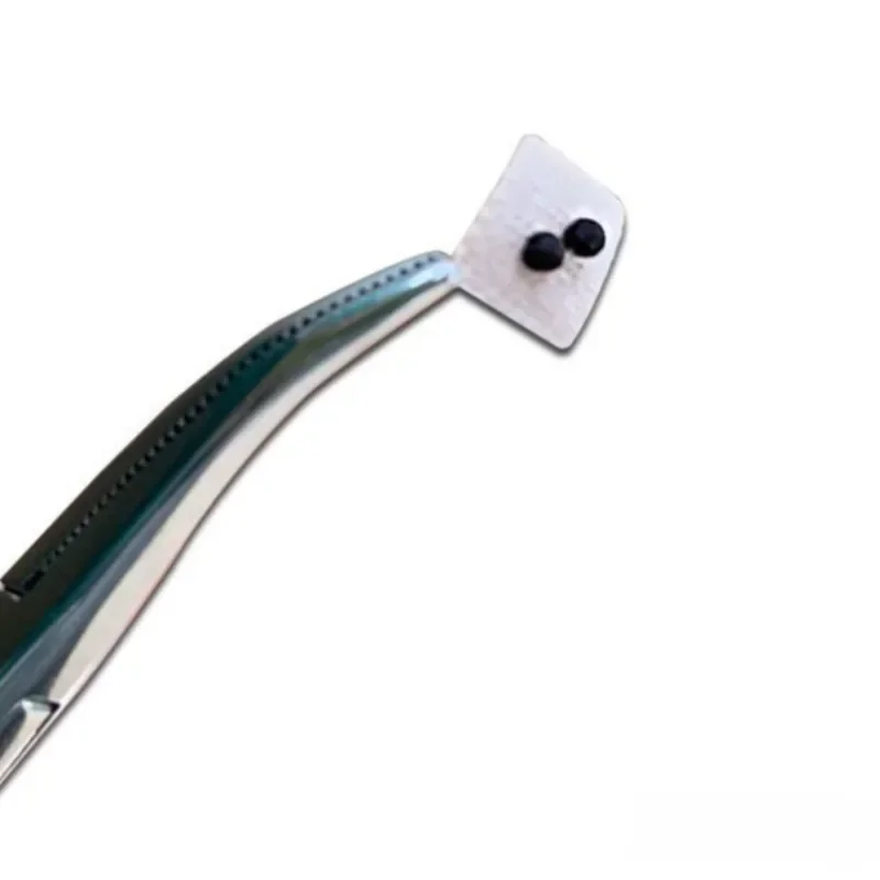 600 قطعة/الحقيبة الأذن الوخز بالإبر العلاج بالتدليك إبرة التصحيح البذور ملصق الأذن الأذن العلاج Vaccaria