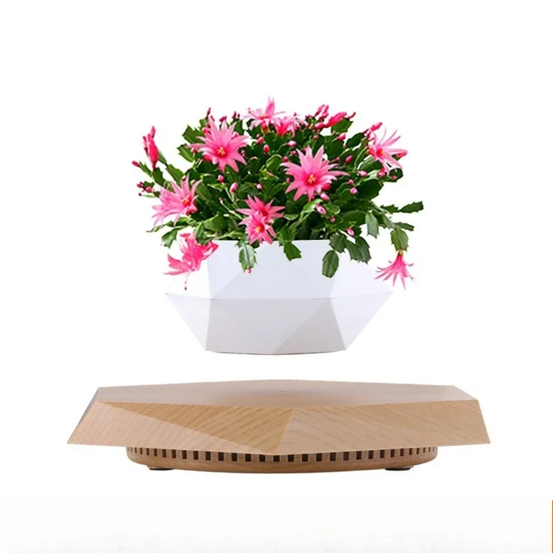 

Maglev potted plant flower pot creative bonsai crafts gifts ins wind