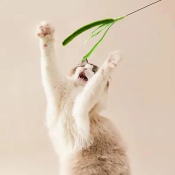 Interactive Feather Cat Teaser Wand 2