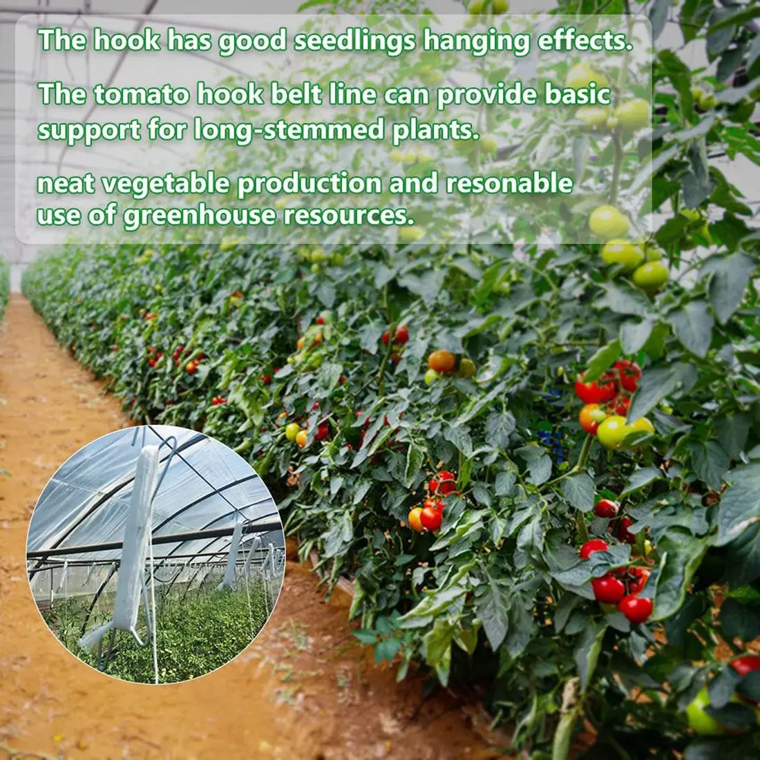 ETRT 10 قطع خطافات الطماطم المعدنية المضادة للسحق خطافات الحديقة خطاف الطماطم النباتية يدعم زراعة الطماطم والكرز ونباتات الكرمة وما إلى ذلك