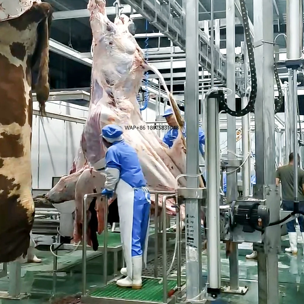 Automatic cow slaughtering machine Halal cow and sheep slaughtering line machine