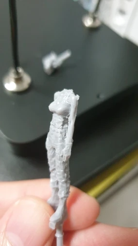 Buyer photo of this resin kit
