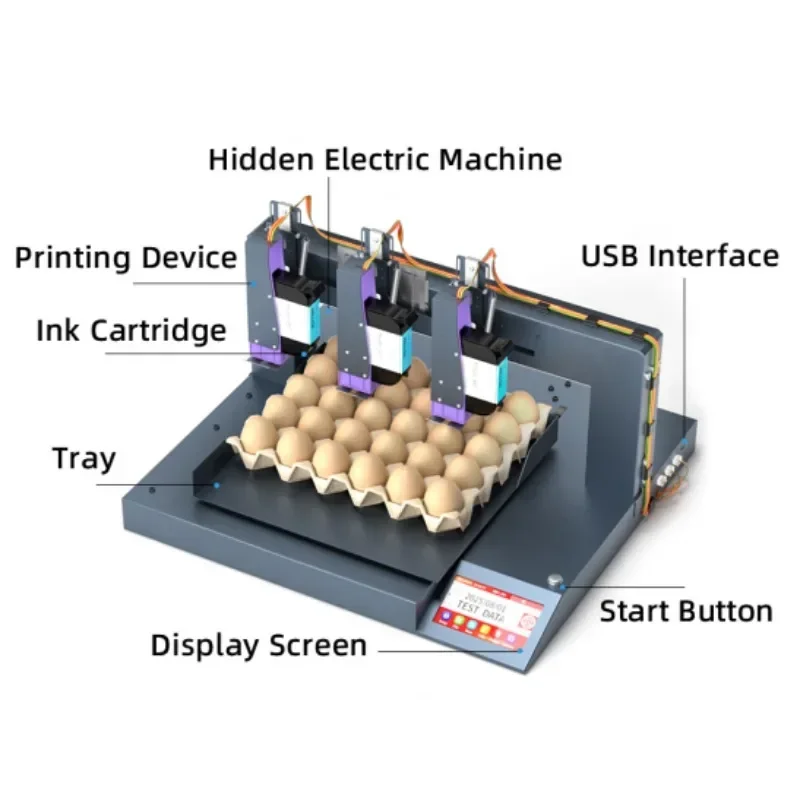 【2026】Willita 3 Head Touch Screen Automatic E/gg Coding Inkjet Printer Machine Date Label Serial Number Coding Printing view 5