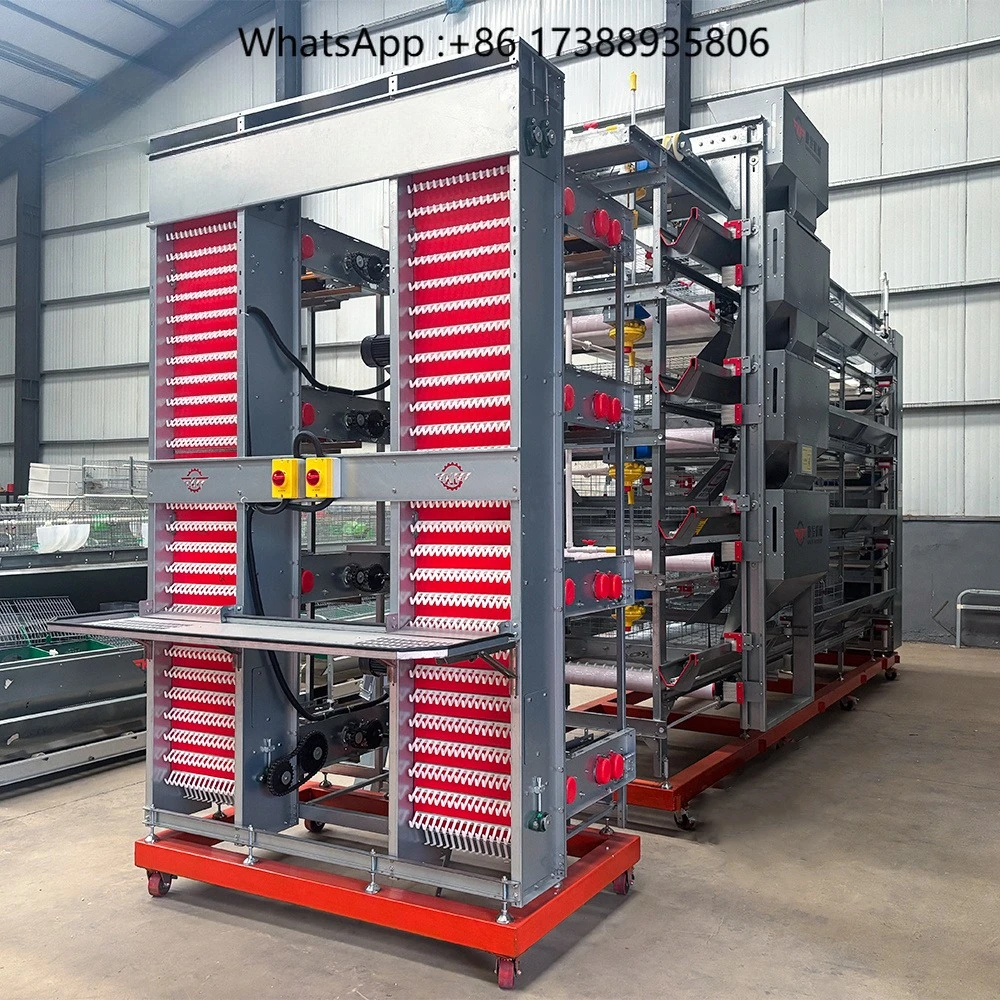 Anti Corrosion Hot Galvanized Battery Cage System Poultry Farm Equipment Automatic Egg Chicken Layer Cage for 10000 Hens