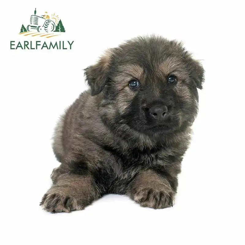 Earlfamily 13Cm X 1…