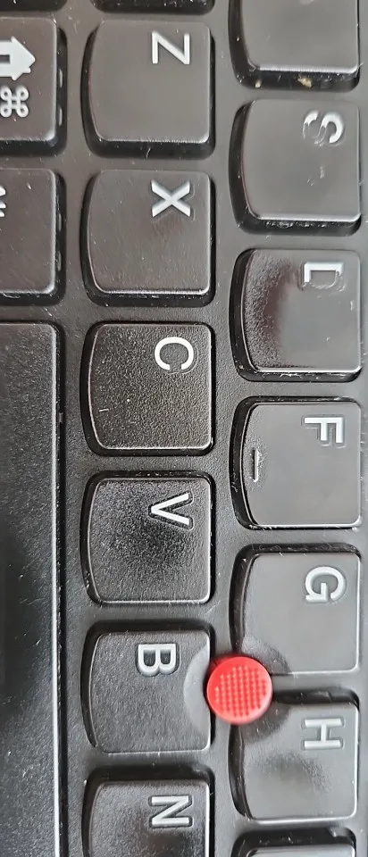 실물 포토 리뷰