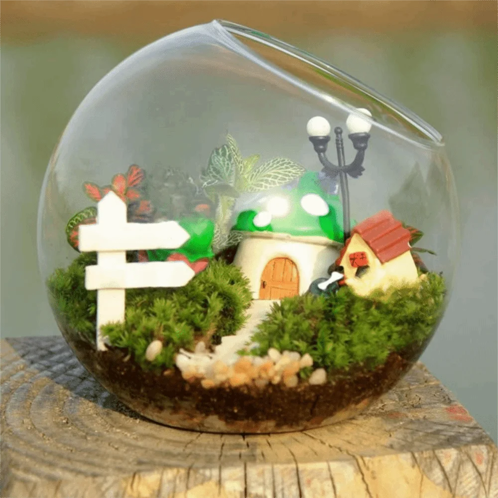 Oblique Clear Glass Ball Vase Clear Borosilicate Glass Succulents Plant Container 8/10/12/16cm Transparent Plant Terrarium