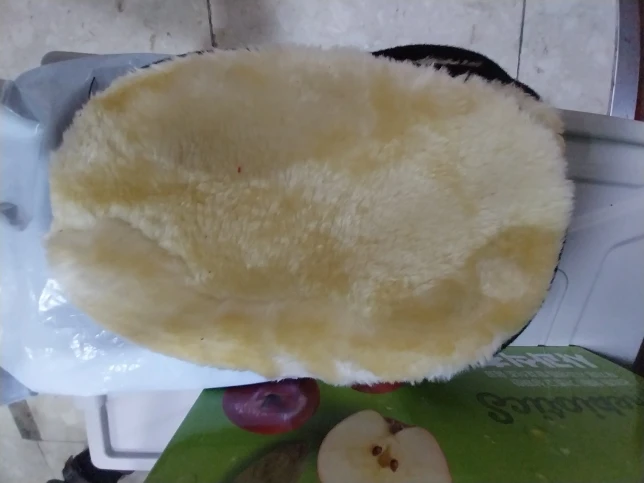 실물 포토 리뷰