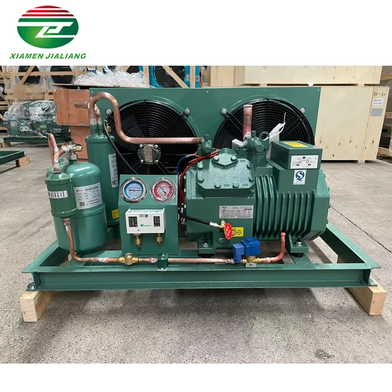 Factory 3hp 5hp 6hp 10hp Germany Air Cooled Compressor Condensing Unit For Cooling System Refrigeration