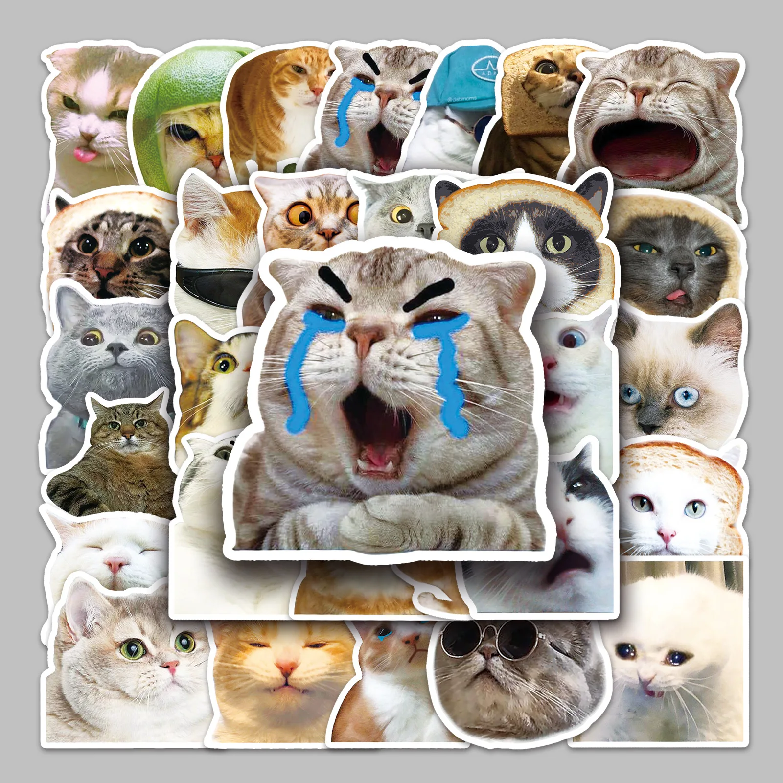 50PCS Funny Cat Meme Stickers Aesthetic Cat Cute Pet DIY Decorative Water Cup Luggage Desktop iPad Waterproof Stickers Kids Toy