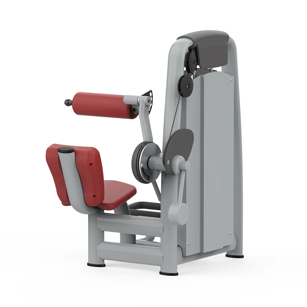 آلة اختيار القوة التجارية لتدريب الظهر السفلي المحملة بالدبوس 2025 #5