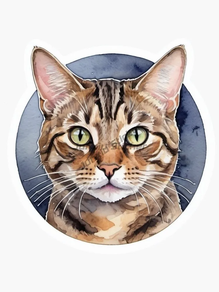 Cute Cat American Shorthair PVC Creative Stickers for Decorate Fridge Car Room Wall Van Bicycle Window Decal Accessories