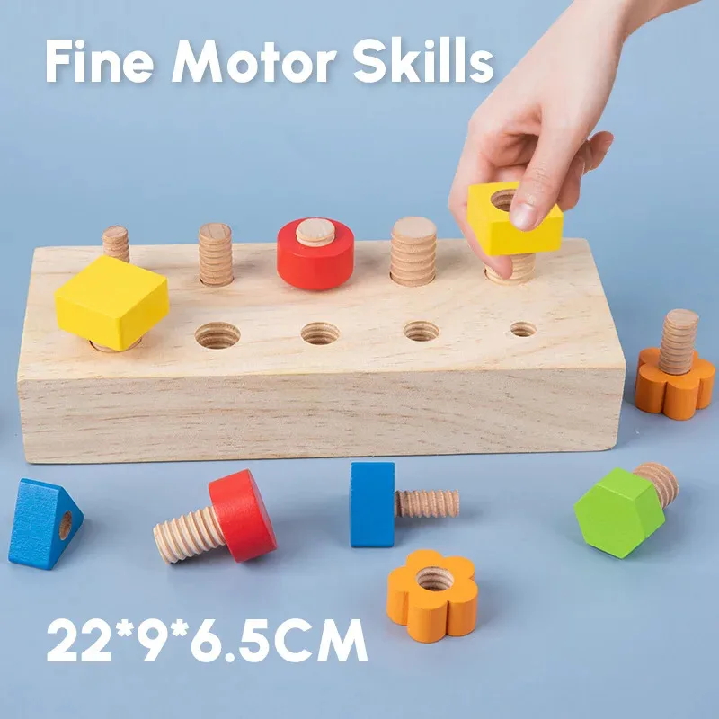 Boulons à écrou en bois pour enfants, jouet en forme de couleur, motricité Fine, planche à vis, taille assortie, jeu de Cognition, jouets sensoriels éducatifs