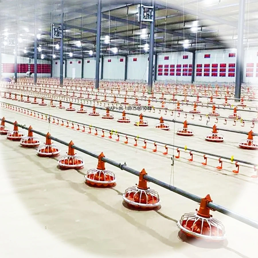 

Automatic poultry equipment Broiler feeding machine Beverage machine chicken feeding Drinking water line 10000 20000 chickens