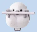 Long-tailed Tit