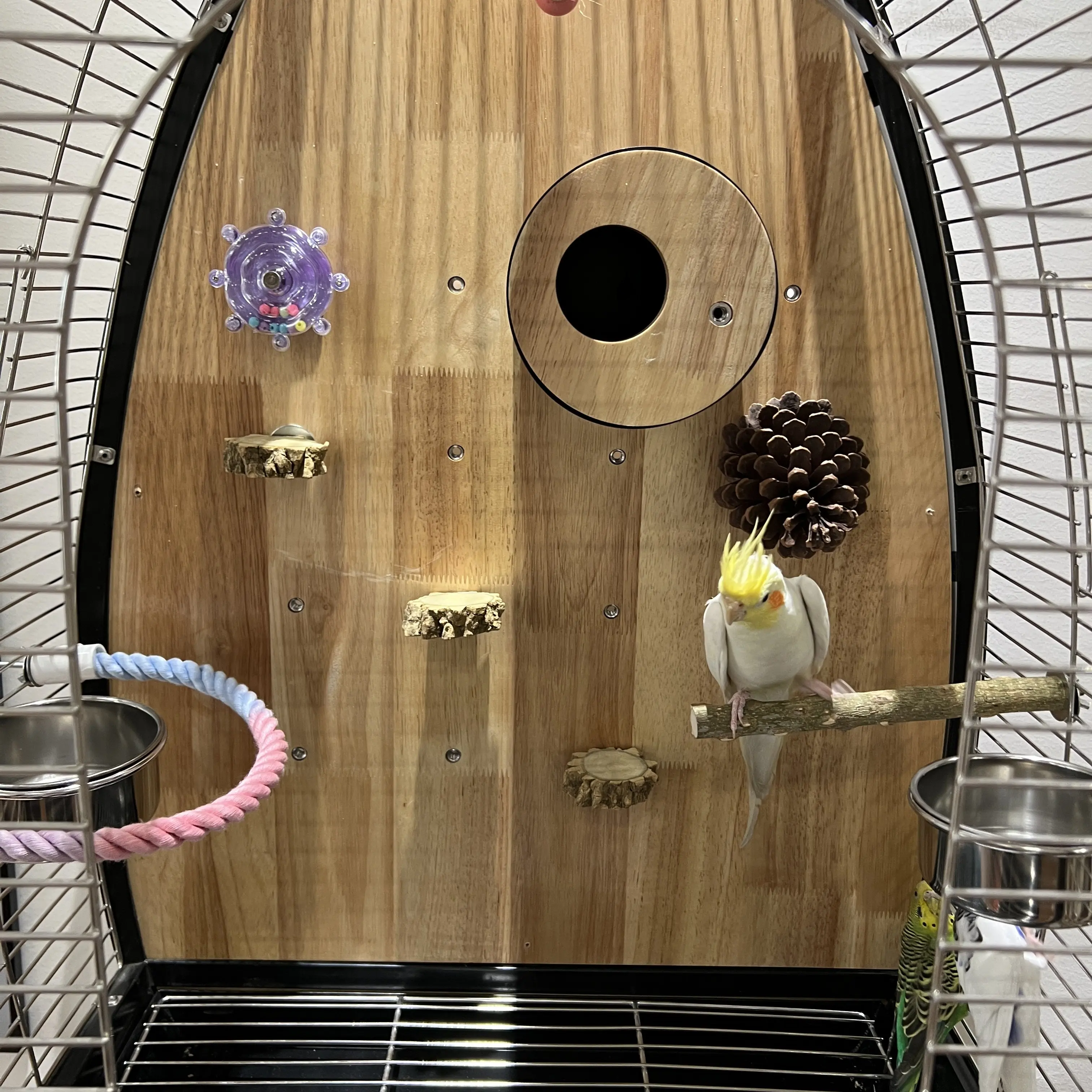 Canaries Quail With Stand Outside Bird Cages Things Indoor Acrylic Bird Cages Pigeon Cosas Para Aves Small Animals Supplies