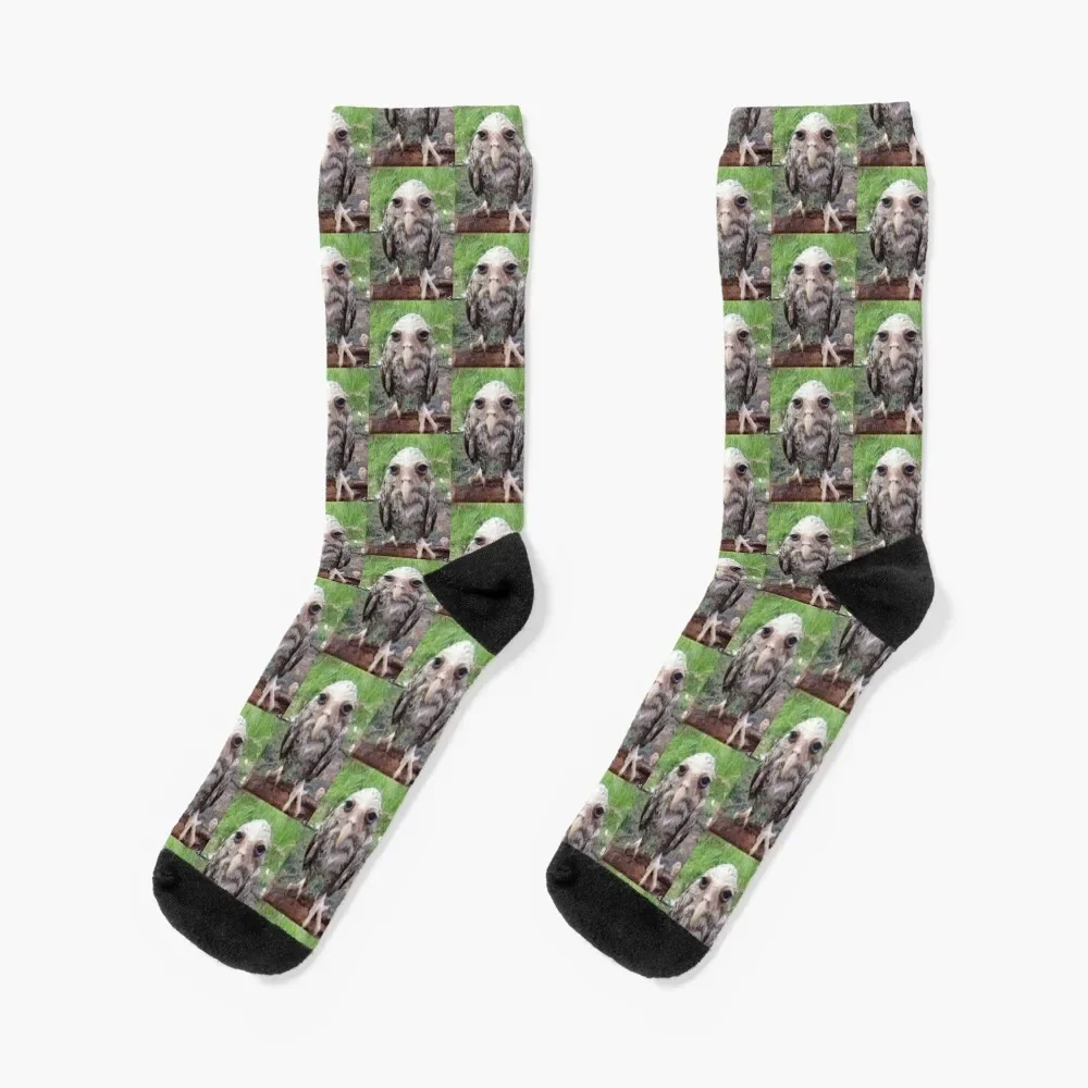 

stupid wet owl Socks christmas stocking moving stockings Men's Socks Women's