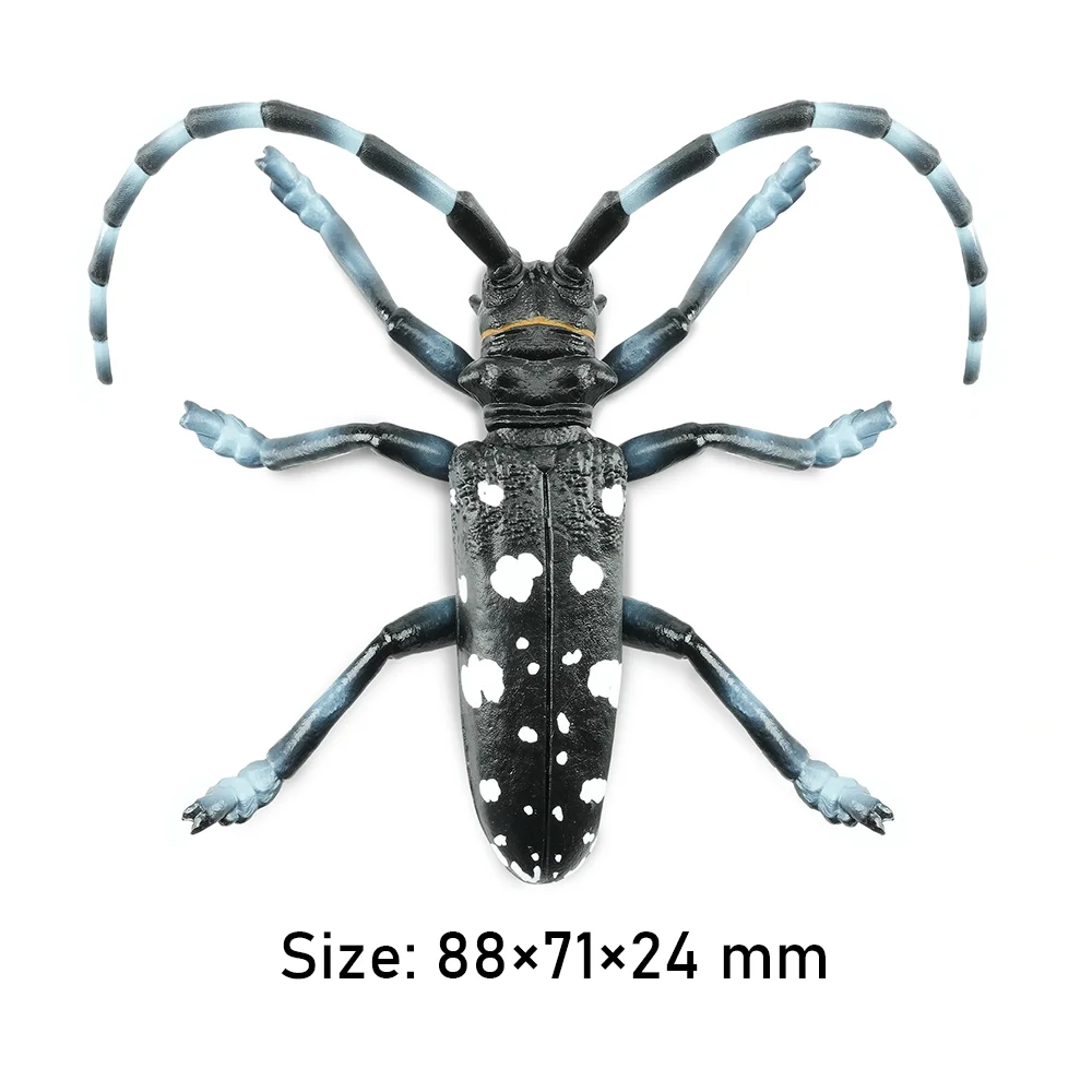 Toymany simulação cítrico longhorned besouro animatoymany simular modelo brinquedo mini figuras bonecas estatuetas de ação brinquedos crianças presente