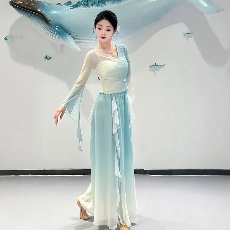 Classical dance costume for women, loose and elegant, with a gauze dress, Chinese style stage costume, repertoire performance co