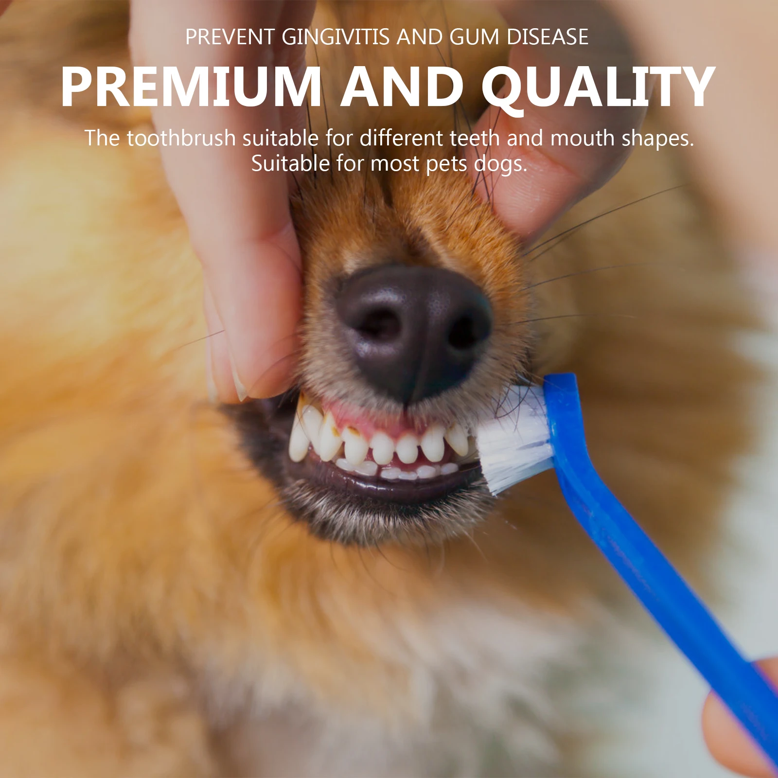 

2pcs Pet Toothbrush Dog Oral Care Double-end Nylon Bristle Non-slip Handle Efficient Cleaning Prevent Plaque Tartar