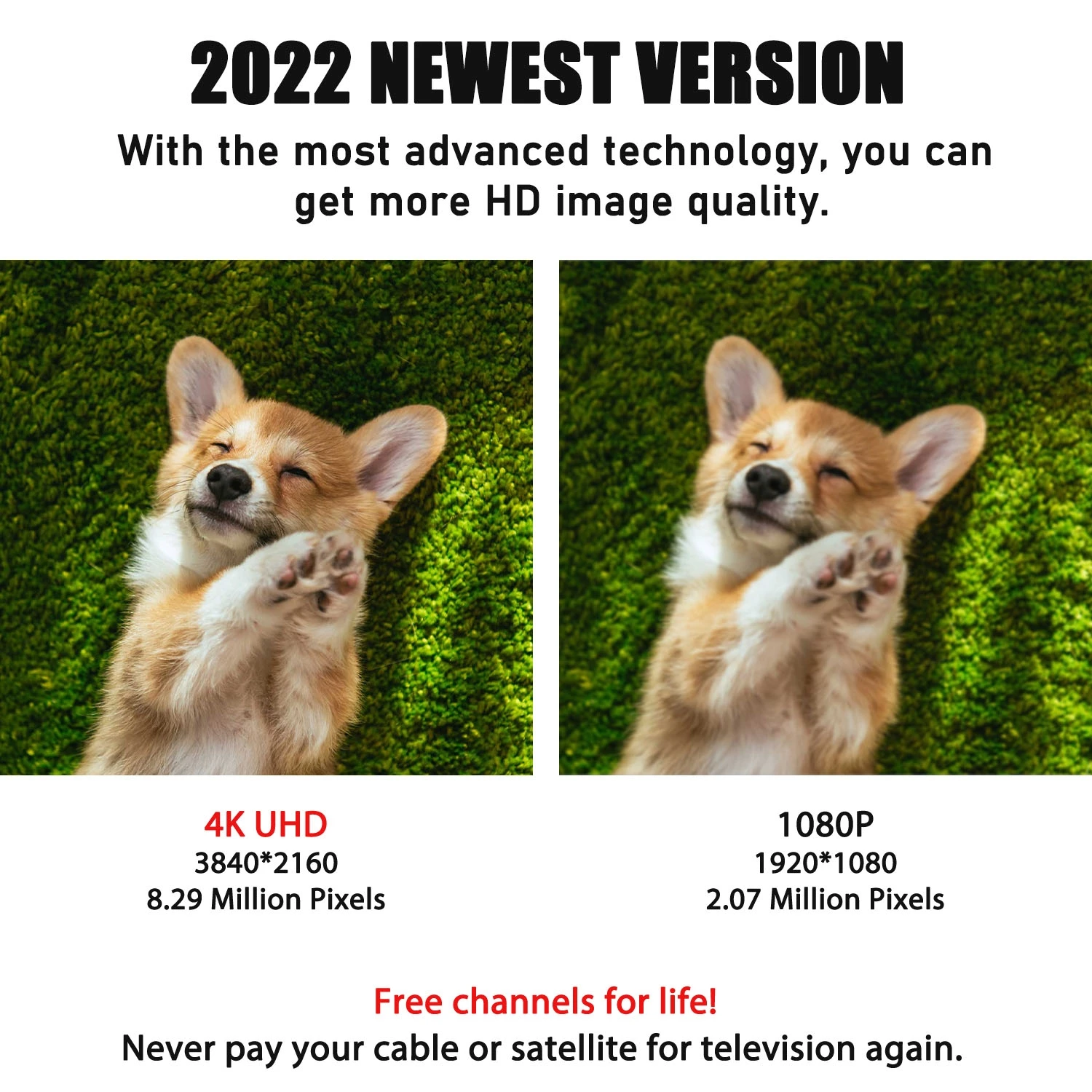 3600 Miles 4K Digitale DVB-T2 TV Antenne Digitale Box Indoor Verstärker Booster 1080P Luft Für Auto Antenne RV reise Smart TV