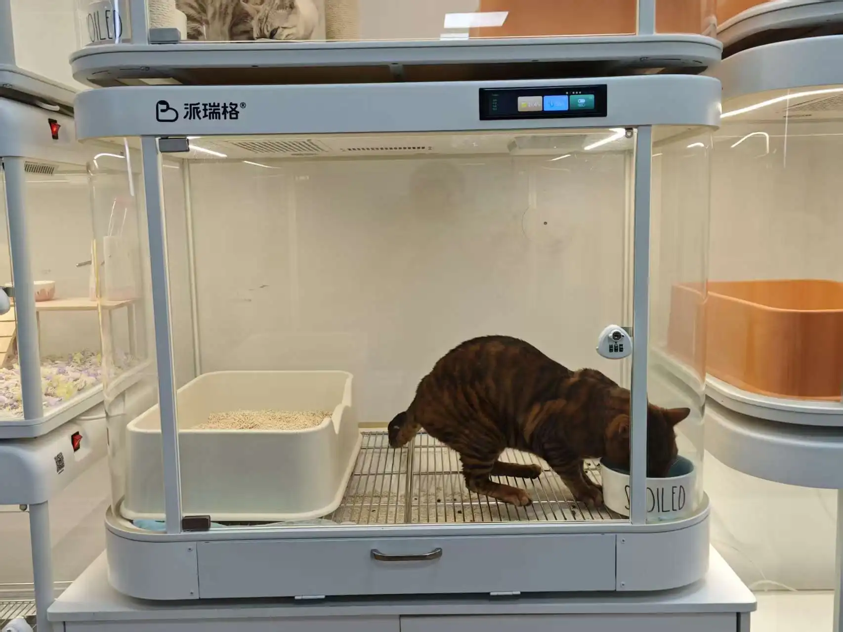 Smart Metal & Glass Pet Cage with Heating Monitoring Two-Way Communication App Control Solid Design Modern/Classic Style YH01