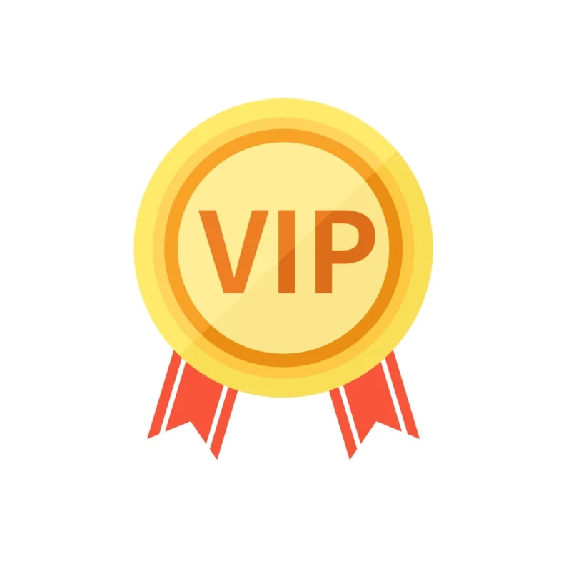 

VIP，Extra Cost For Customized Products