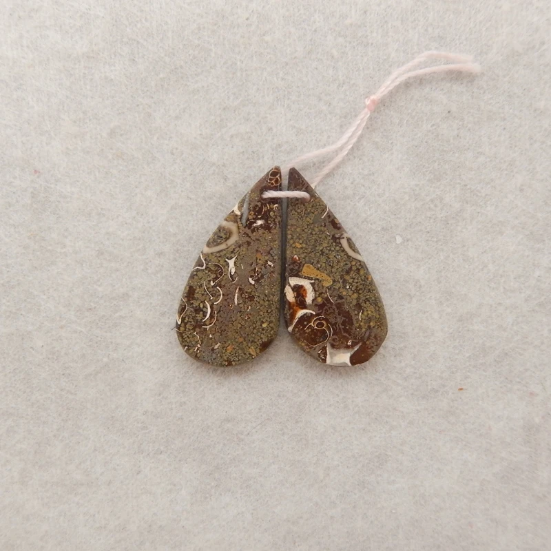 2PCS Polished Ammonite Stone Teardrop Earring Pair Earthy Translucent Gemstone Pendants for Fashion Jewelry Accessory