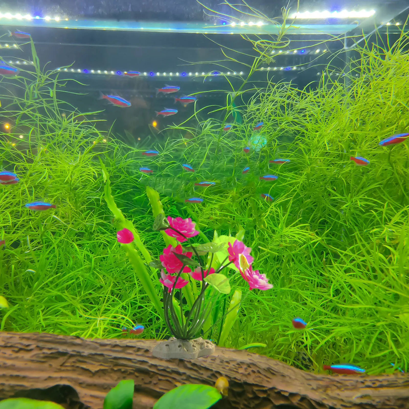 

Aquarium Lotus Durable Decorative Fake Lotus Silicone Household Aquarium Ornament Fish Tank Fish Hiding Place