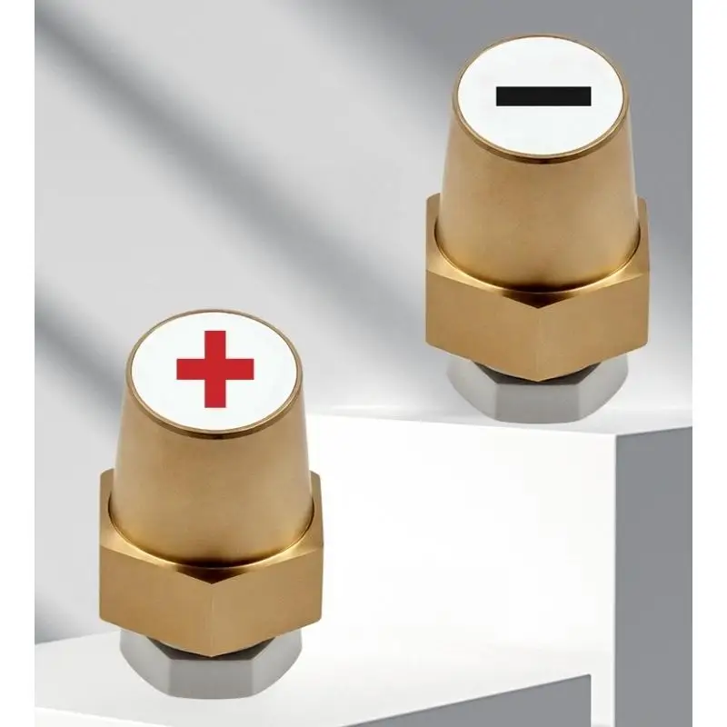 [CA2]2Pcs Battery Post Charger Screw Accessories Brass Hexagonal Terminal Connectors For Car Battery Positive & Negative Pole