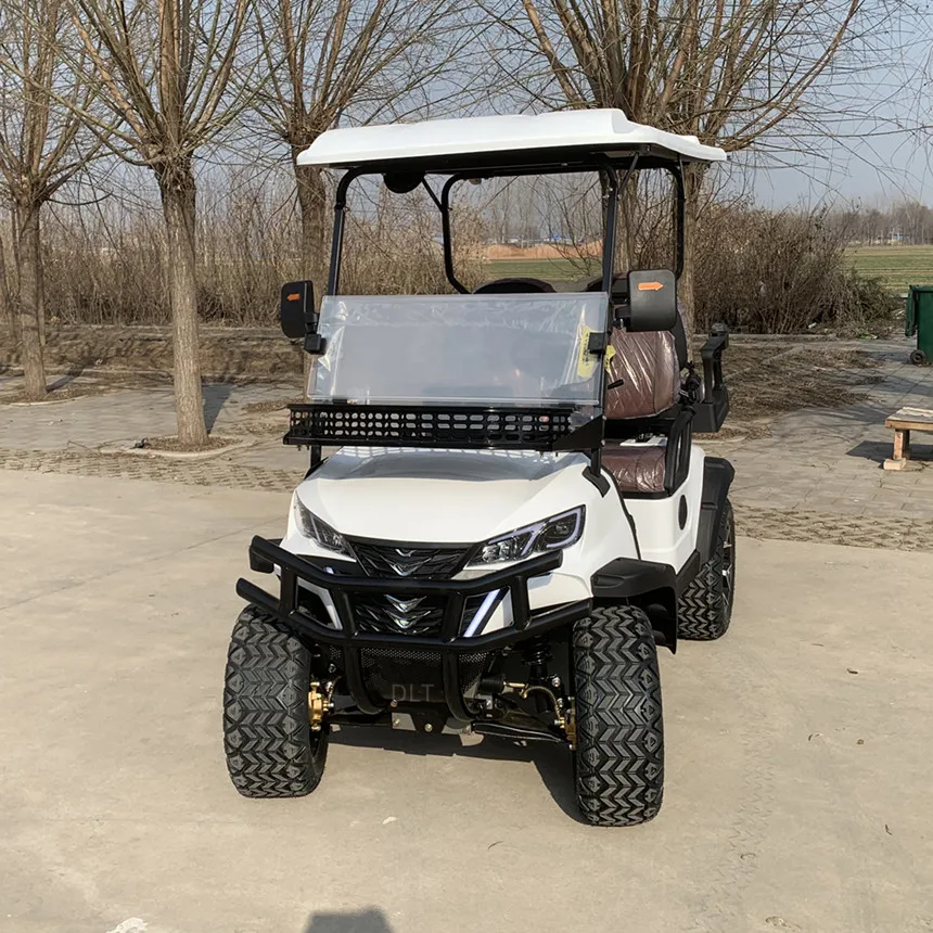 New Model Style Golf Cart Stable Quality Electric Golf Cart With Golf Bag Straps And Basket Side Mirror With Turning Light