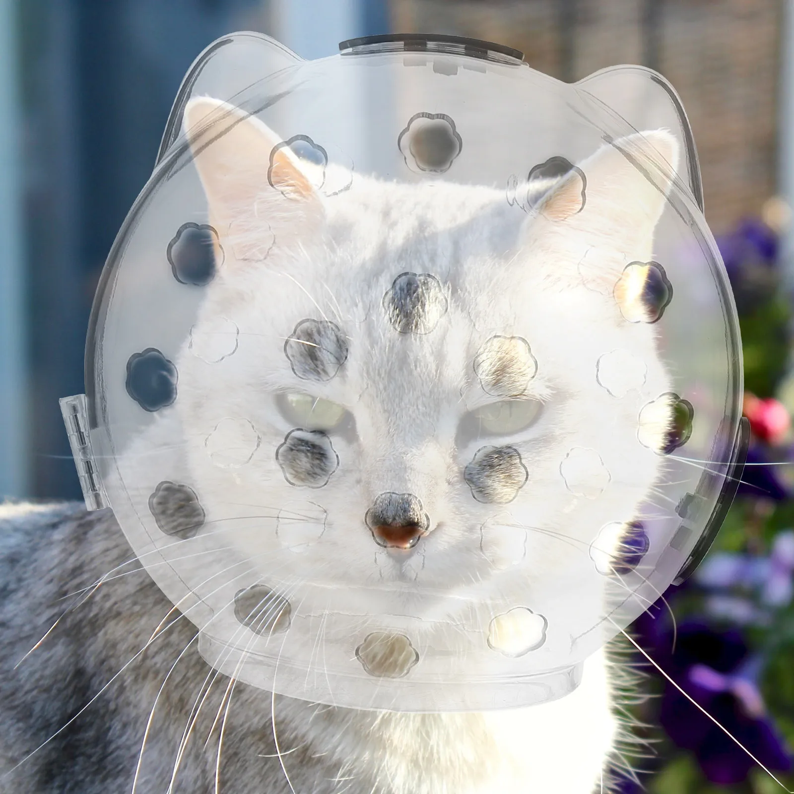 

Cat Hood Clear Kitten Protective Headgear ABS Anti Biting Recovery Wide View Care Supplies