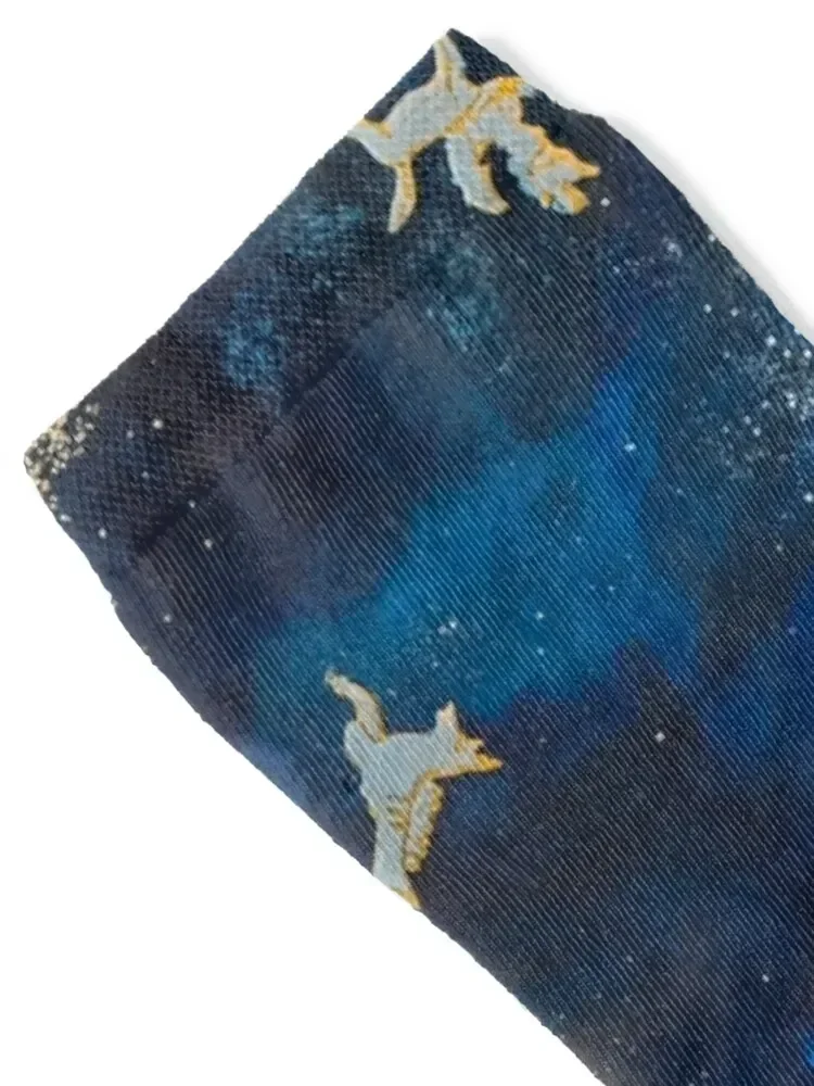 Zodiac of Dendera with Nut the Egyptian Sky Goddess Socks funny sock Rugby colored with print Socks Female Men's