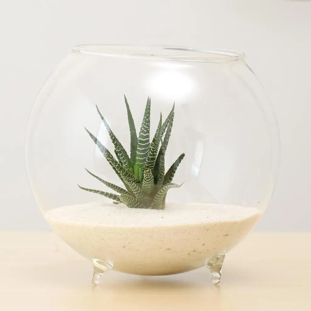 Mini Fish Tank Glass Flower Vase Cute Tabletop Terrarium Hydroponic Pot for Living Room Plant Vases Decoration