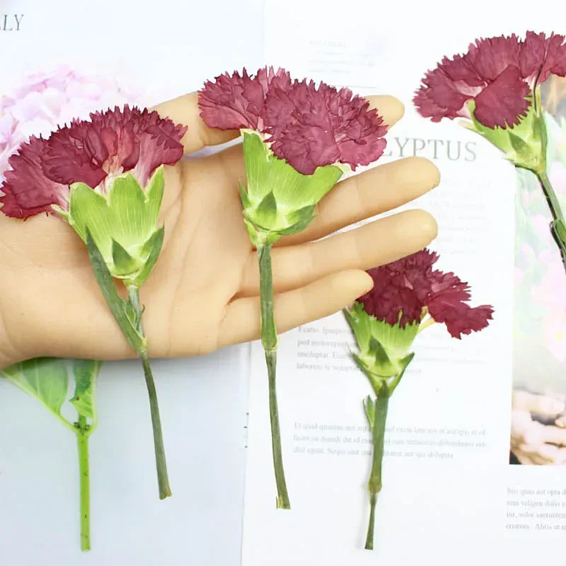 200pcs Side Pressed Dried Red Canation Flower Stalk Plant Herbarium For Jewelry Phone Case Photo Frame Bookmark Craft DIY