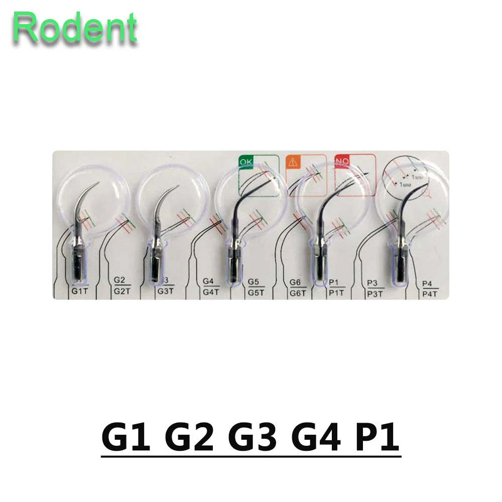 Dental Ultrasonic Piezo Scaler Handpiece Detachable Fit Woodpecker EMS HW-3H HW-5L LED And Scaler Tips