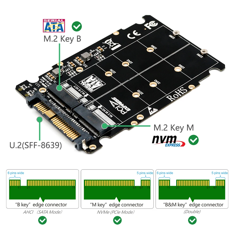 Adattatore da M.2 SSD a U.2 2 in1 M.2 NVMe e SATA-Bus NGFF SSD a pci-e U.2 SFF-8639 adattatore convertitore PCIe M2 per computer Desktop