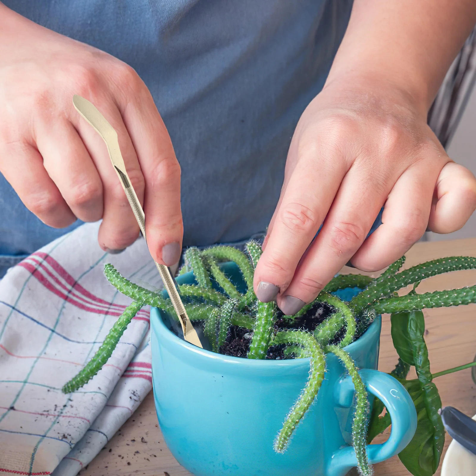 الفولاذ المقاوم للصدأ بونساي أشعل النار بوعاء أداة النبات حديقة معدنية الملقط للعصارة نباتات داخلية اكسسوارات البستنة