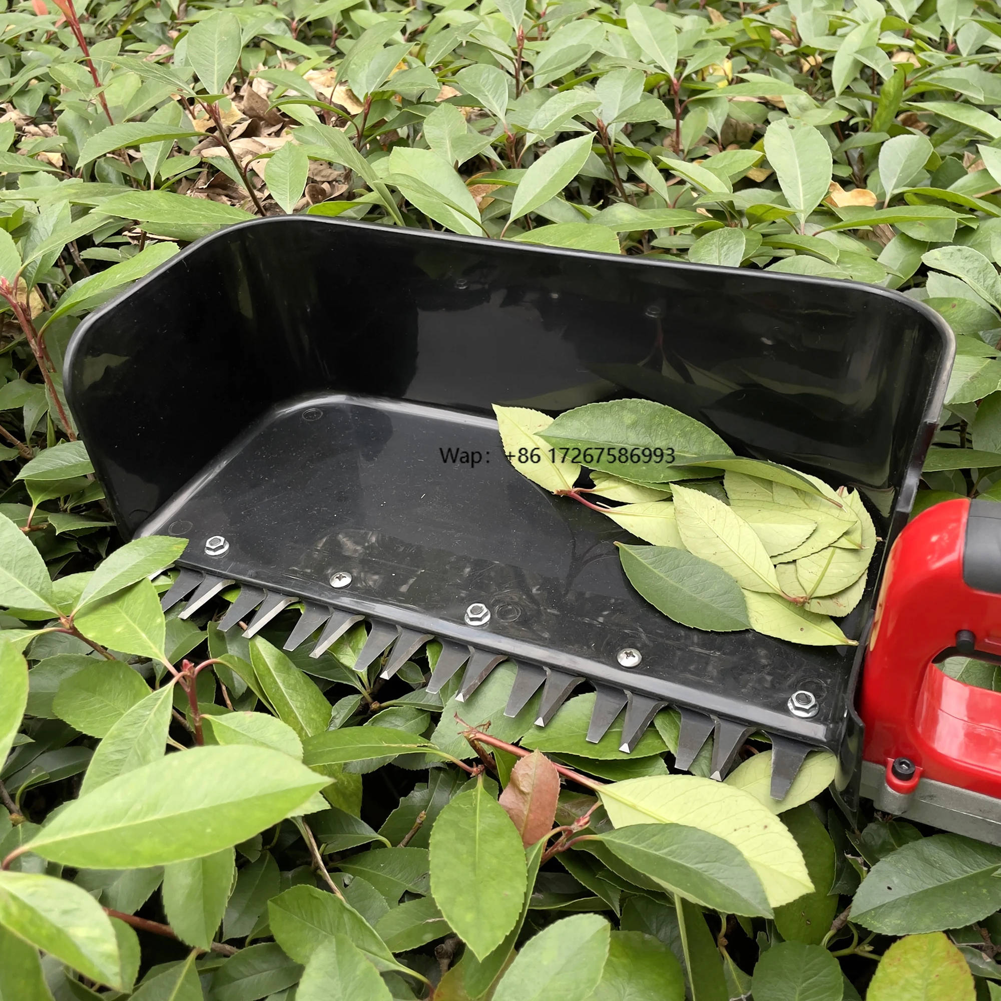 Factory Direct Sales Tea Plucker/tea Leaf Picker/Electric Tea Harvester Machine with Battery