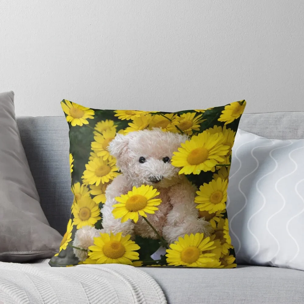 For Teddy Lovers Everywhere Throw Pillow Ornamental Pillow Sofa Cushion pillow