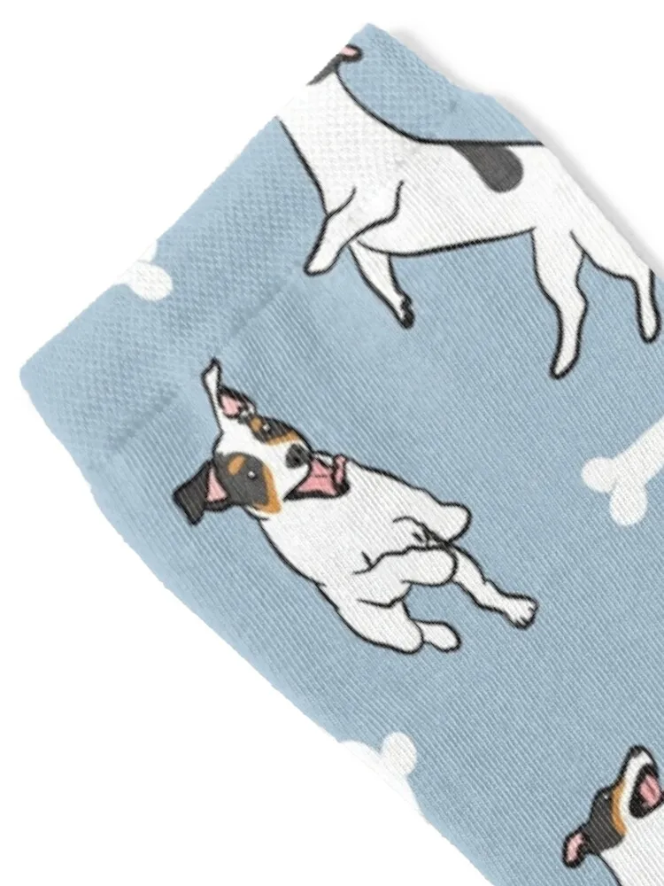 Tocando Tricolor Jack Russell Terrier - Fondo Azul Calcetines color nuevo en la liga brillante Calcetines de mujer Calcetines de hombre