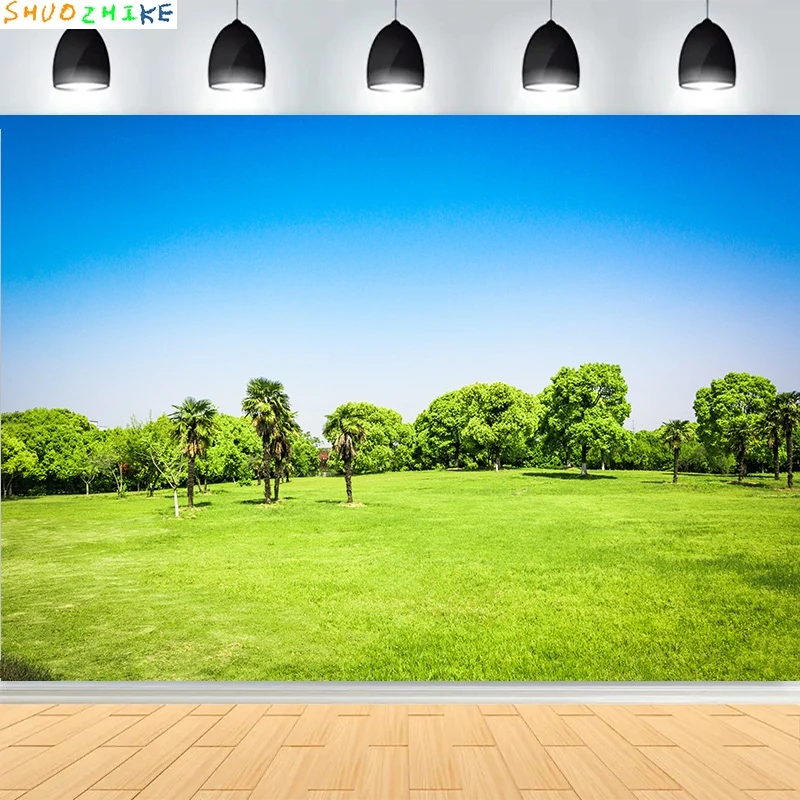 

Tranquil City Park Blue Sky Photography Backdrops Grass Landscape Bathed Morning Sunlight Garden Photo Background CG-03