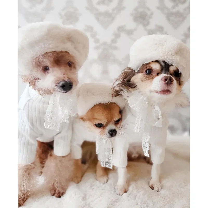 Ins Dog Plush Hat Pet Dog Warm Hat Maltese Cat Beret Pet Supplies Headwear Dog Helmet  Party Hat Cap with Dogs Birthday