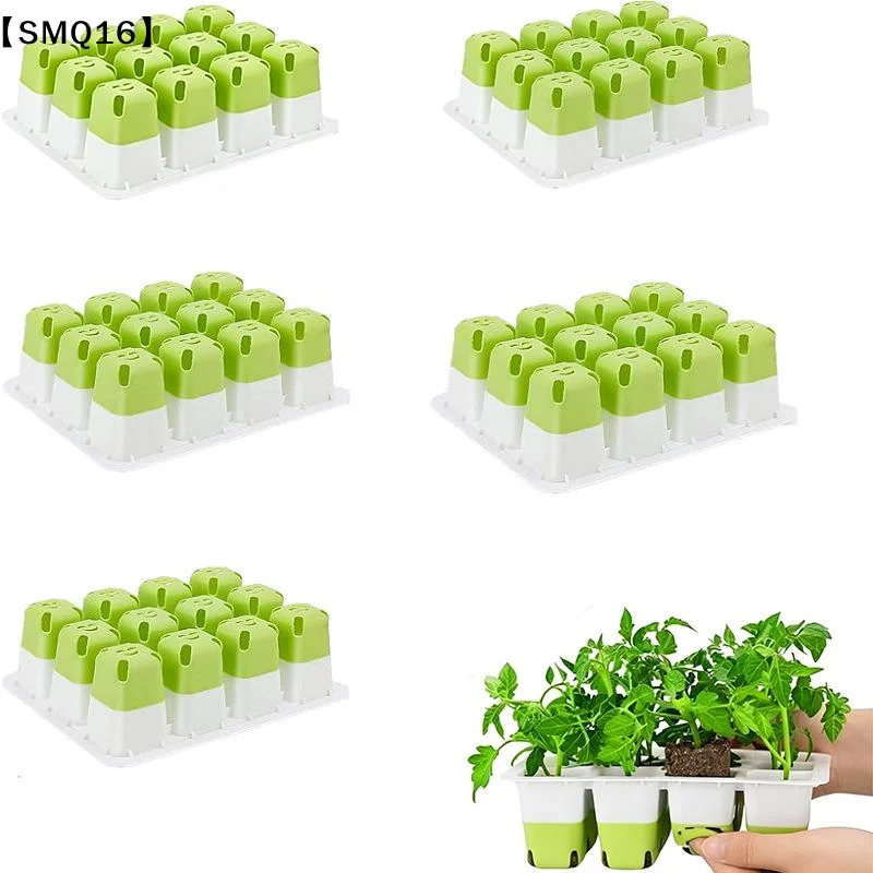 1Set Seed Starter Tray Mini Gr - đánh giá và giá Dome Propagation Kit