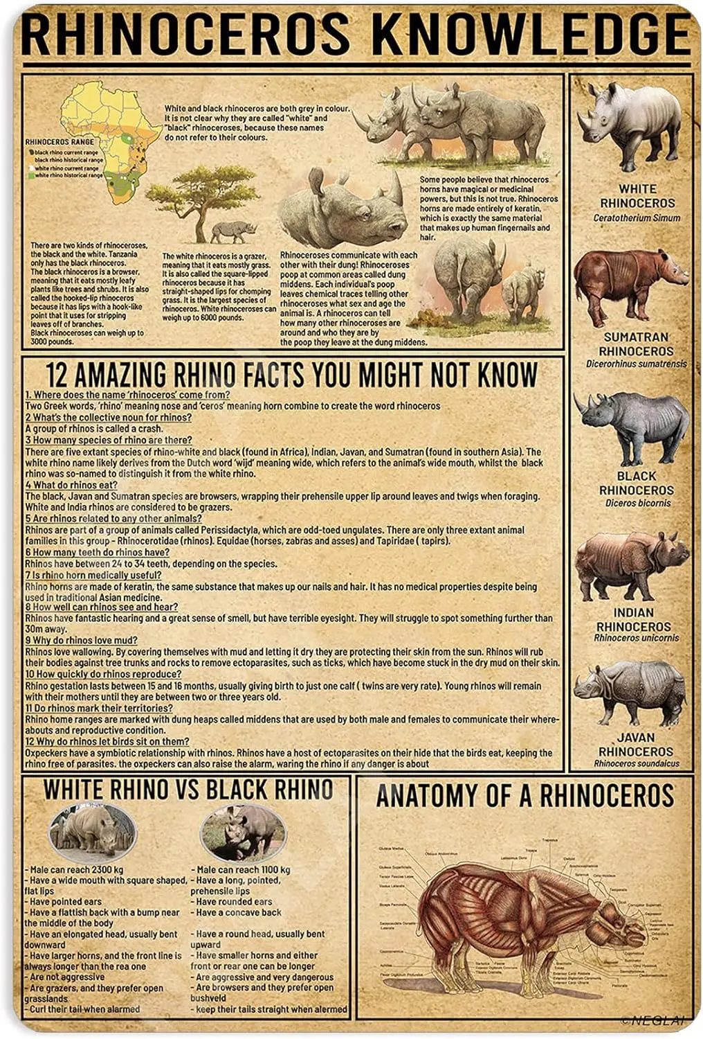 Vibesprints Rhinoceros Knowledge Metal Signs Poster Vintage Decor Tin Sgin 16x12 Inches