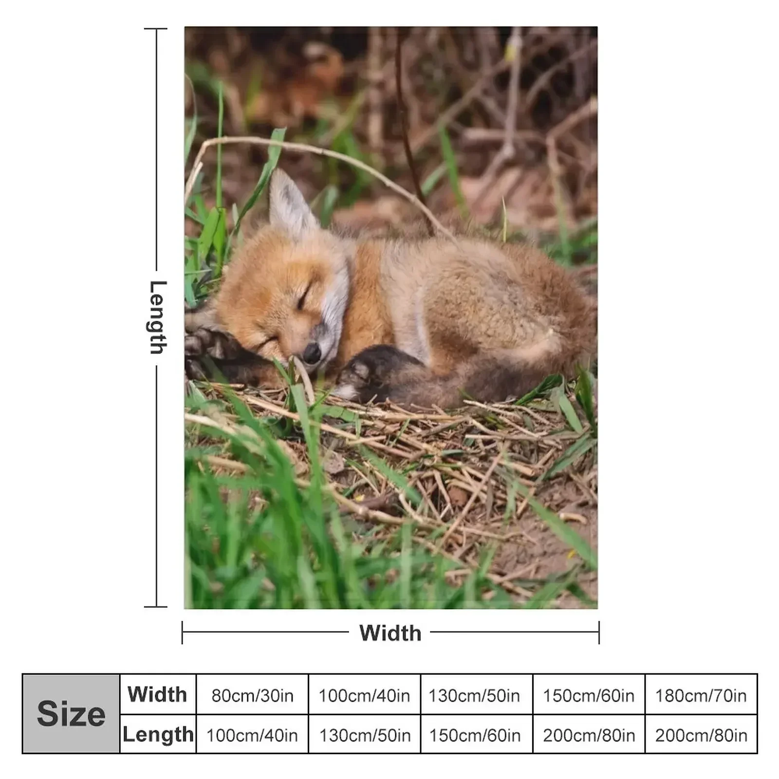 New Fox Kit 9 Throw Blanket Fashion Sofas Shaggy Cute Plaid Summer Beddings Cute Thermals For Travel Blankets
