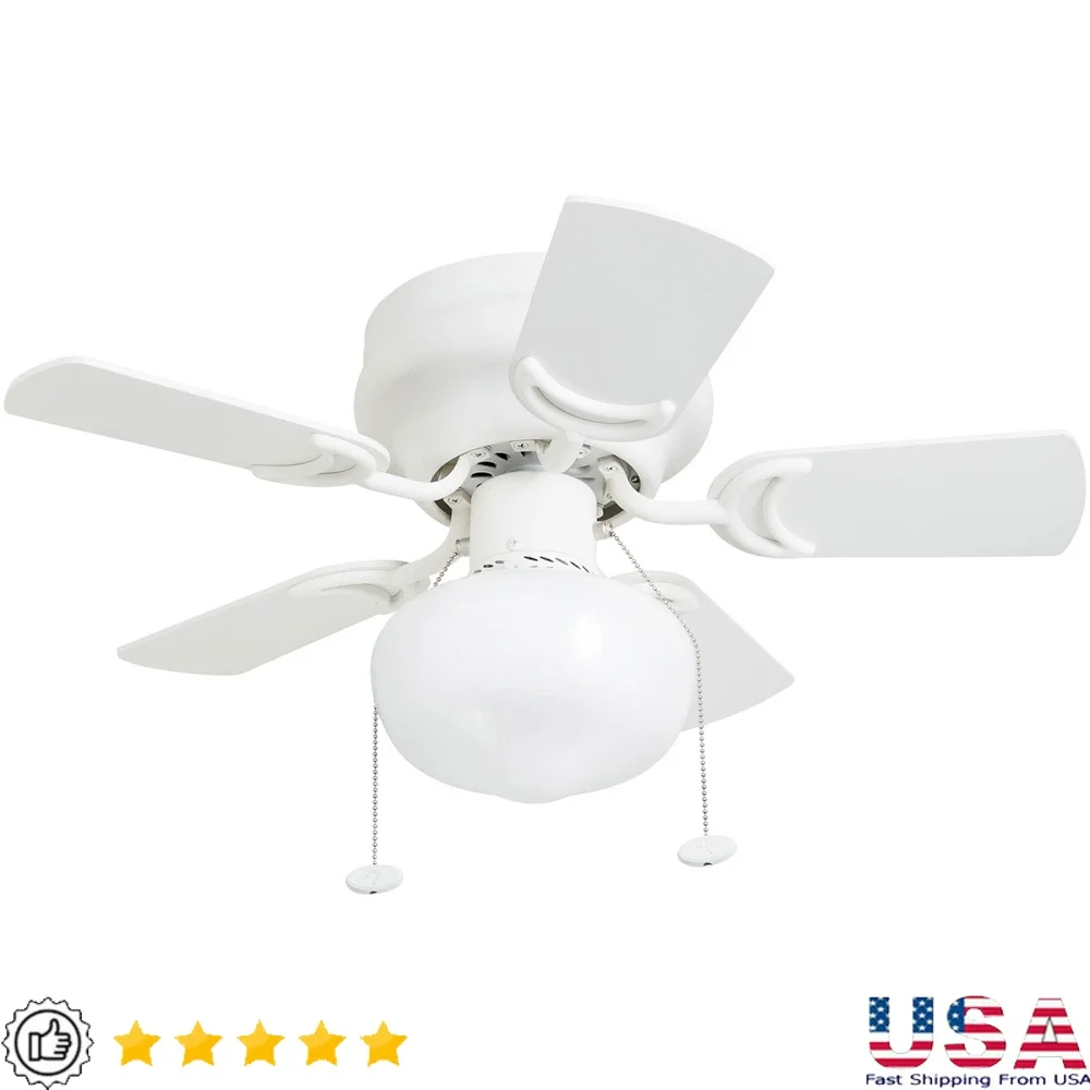 

28 Inch Low Profile Ceiling Fan with Light Dimmable LED Schoolhouse Globe Reversible Blades Quiet Motor Energy Efficient Small