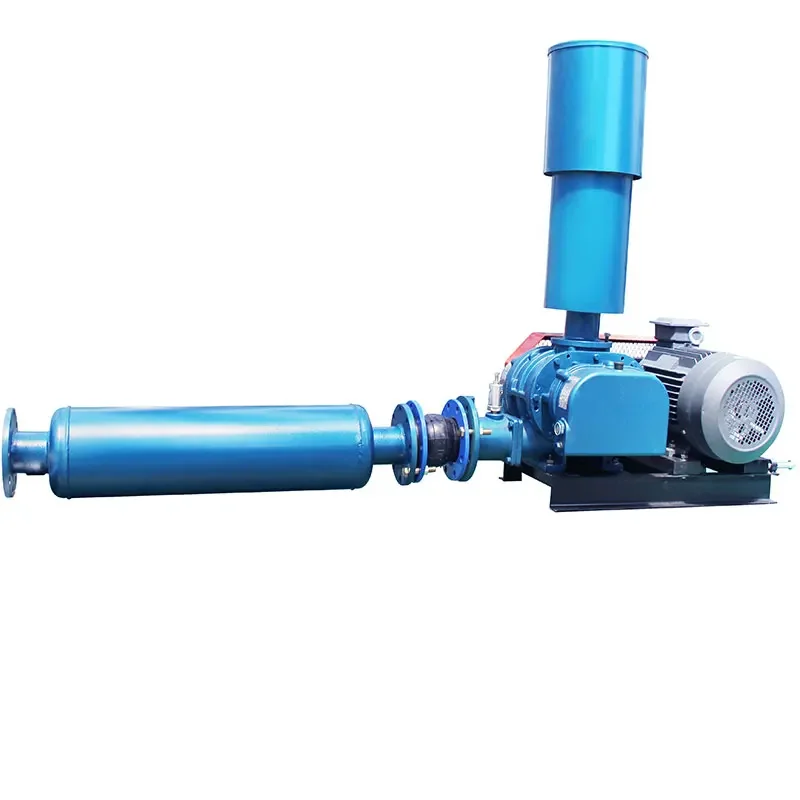 Ventilatore a pressione positiva e negativa Lavaggio ad alta pressione Ossigeno Trattamento delle acque reflue Produttore di aerazione della pompa a vuoto
