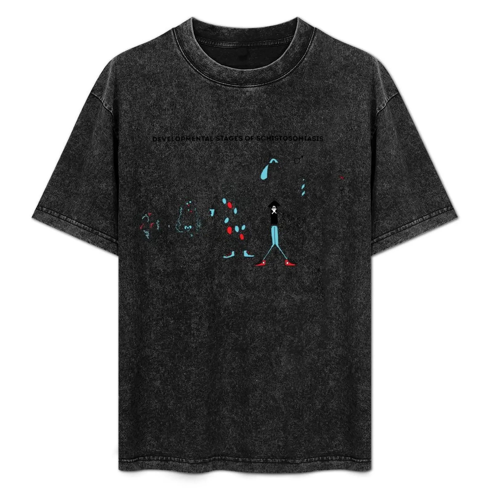 

Parasites the Schistosomiasis Life Cycle T-Shirt Basic Solid Color Short Sleeve Cotton Top